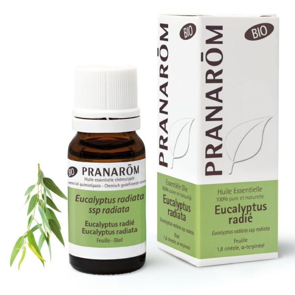 Pranarom He Bio Eucalyptus Radie 10Ml