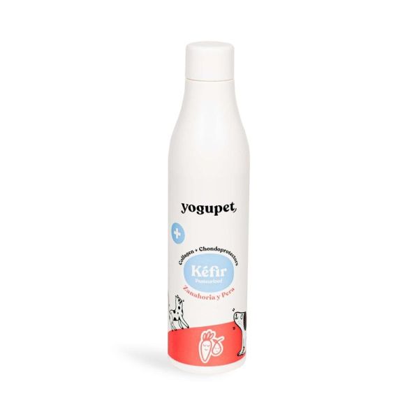 Kefir De Carottes-Poires Pour Chien Et Ch