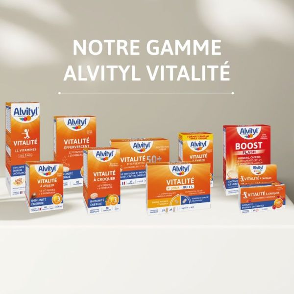 Alvityl Vitalite Jour/Nuit