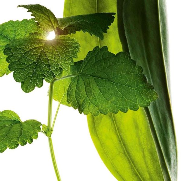 Clarins Demaq Hle Tres  Maq Waterpr 150Ml