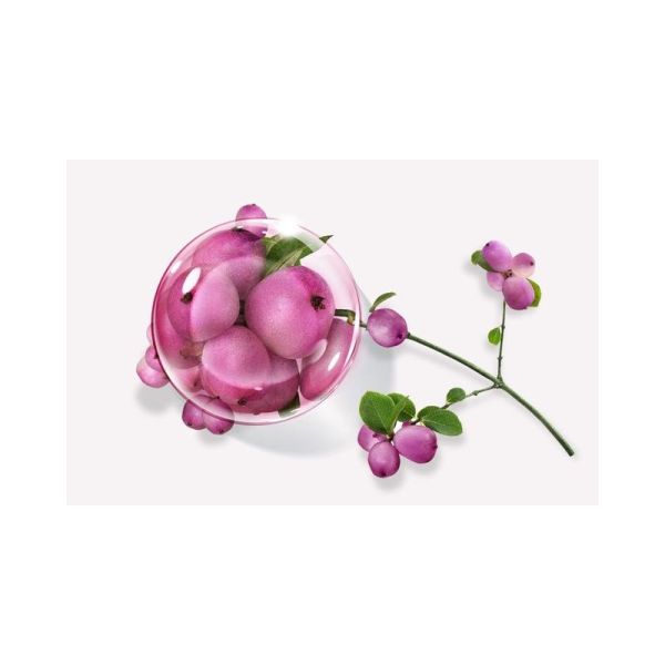 Crème première anti-âge enrichie haute prévention - 50 ml