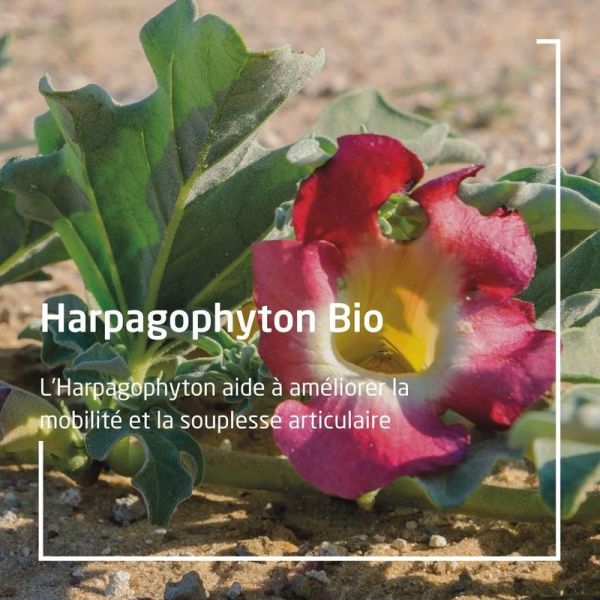 EPB Harpagophyton Bio - 60 ml
