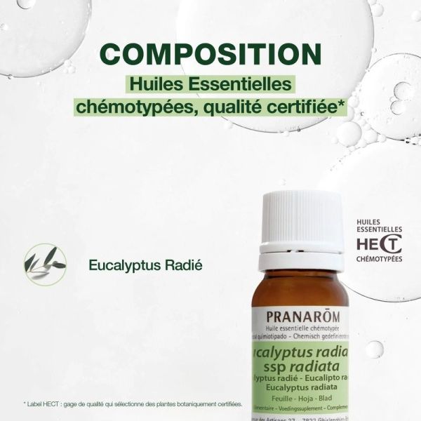 Huile Essentielle d'Eucalyptus radié - 10 ml