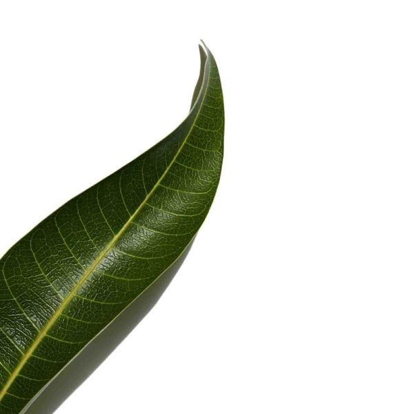 Clarins Uv Plus 5P A-Pollut Spf50 30Ml