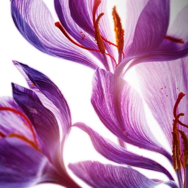 Clarins Demaq Toniq Purif Px Mixt 200Ml