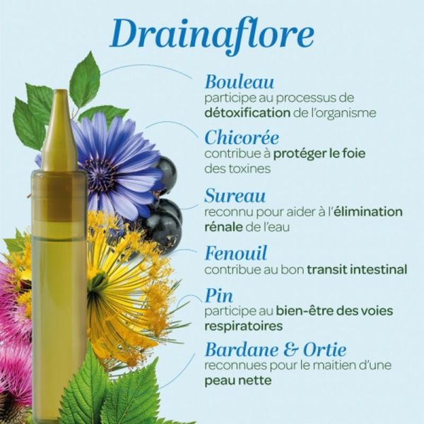 Drainaflore Détox Bio - 20 unidoses de 15 ml