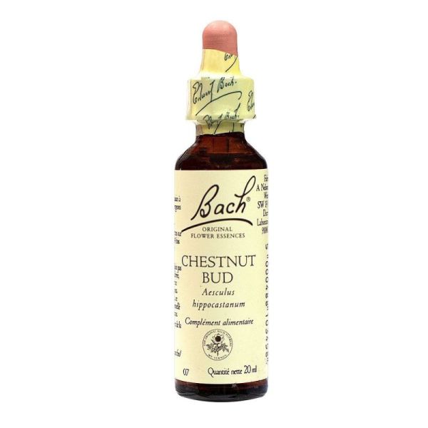 Bach Chestnut Bud 71707