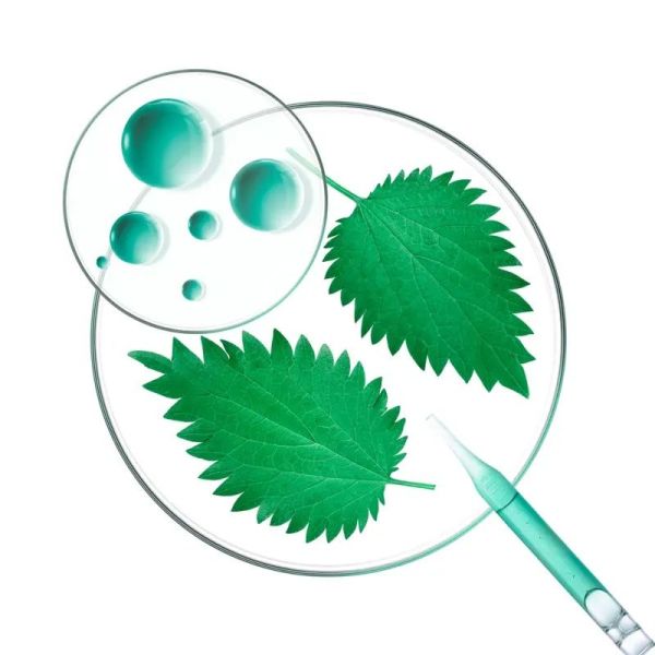 PURIFIANT TEINTÉ Shampoing sec à l'Ortie et Vitamine E - 150 ml