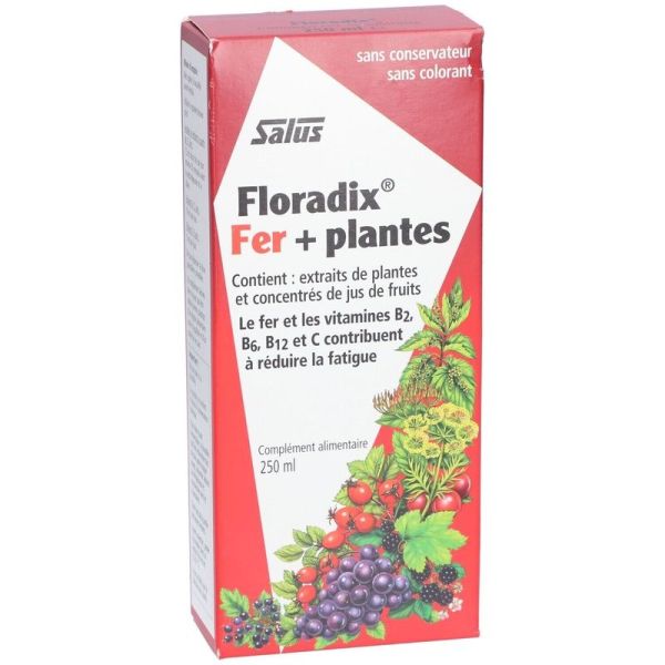 Floradix fer + plantes - 250 ml