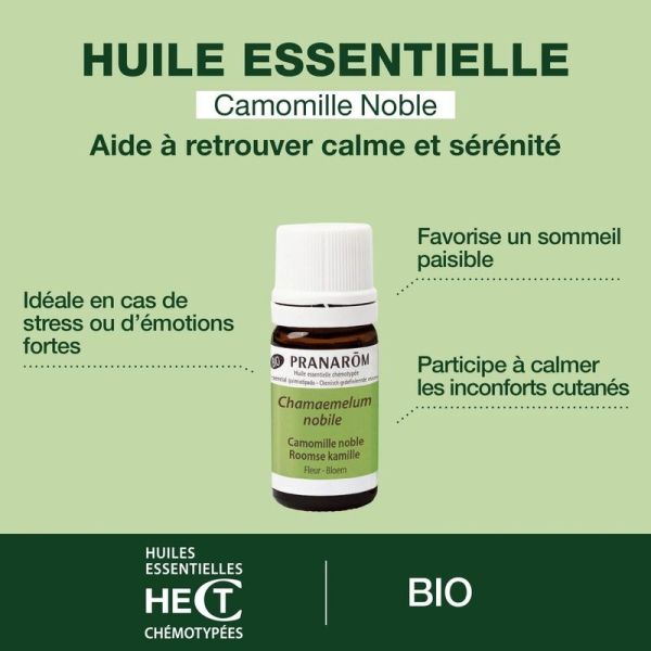 Huile Essentielle de Camomille noble - Bio - 5 ml