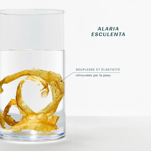 Crème corps scintillante Solaire Océane - 50 ml