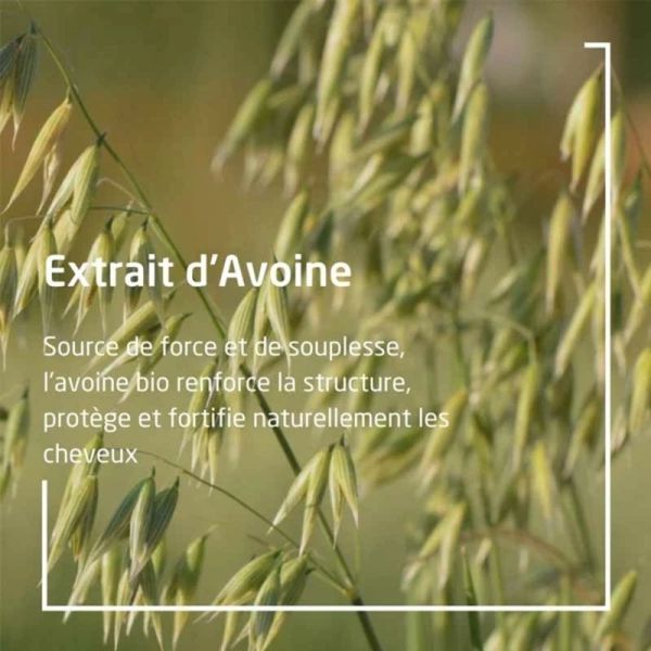 Après-shampooing Régénérant à l'Avoine - 200 ml