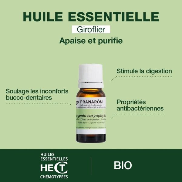 Huile Essentielle de Giroflier - Bio - 10 ml