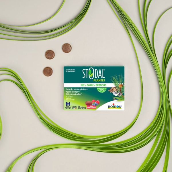 Stodal Plantes Pastilles Nez & Gorge & Bronches - Fruits Rouges - 36 pastilles