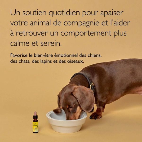 Pets Compte-gouttes Animaux - 10 ml