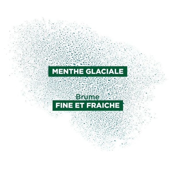 Brume capillaire Détox Purifiante Anti-Pollution Cheveux Normaux à la Menthe Bio Sans Rinçage - 100 ml