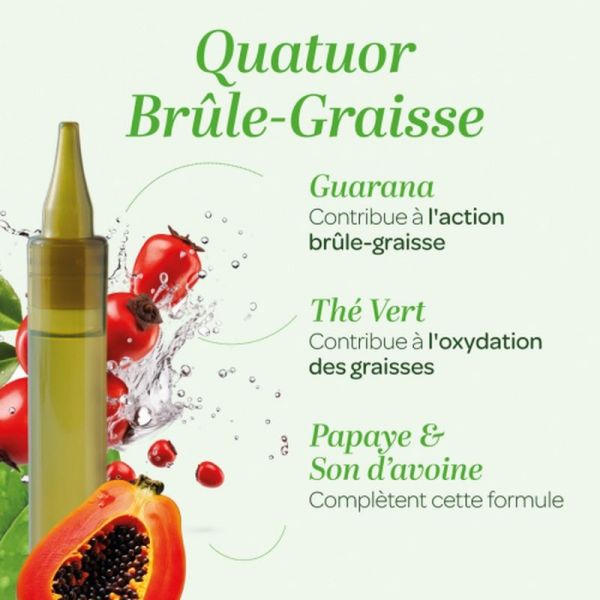 Quatuor Brule-Graisse Bio - 20 unidoses