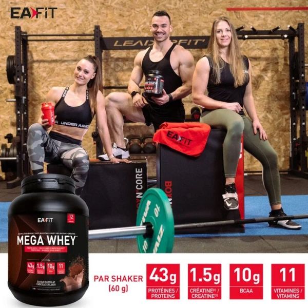 Mega Whey Saveur Chocolat - 750 g