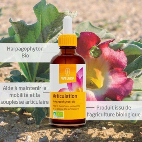 EPB Harpagophyton Bio - 60 ml