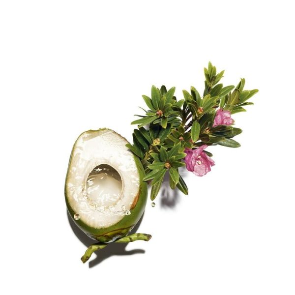 My Clarins Re-Charge Masque Nuit 50Ml