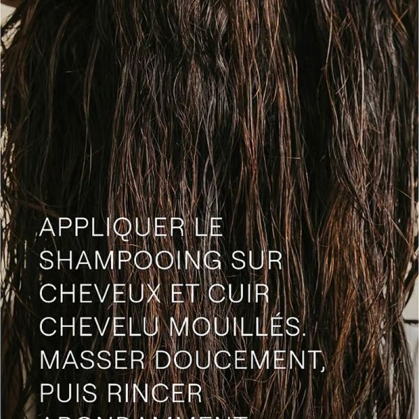 Shampooing revitalisant au Romarin - 250 ml