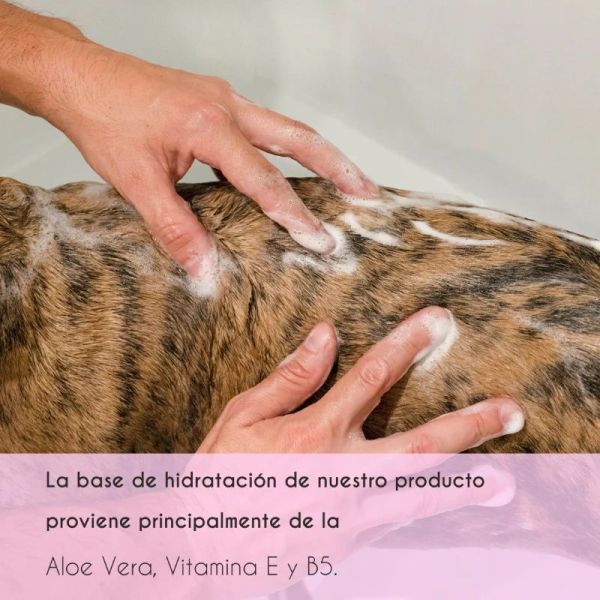 Shampooing pour chiens et chats à peau sensible - 200 ml