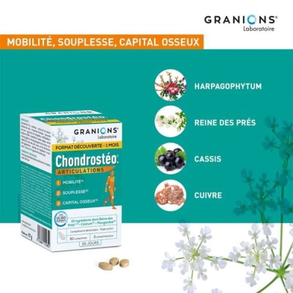 Chondrosteo+ Articulations - 90 comprimes