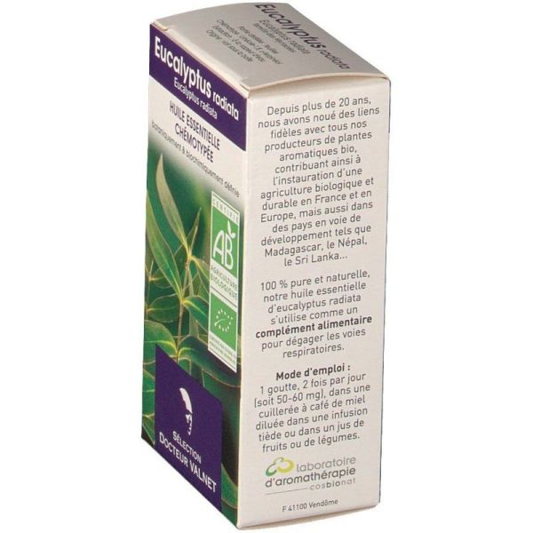 Huile essentielle bio Eucalyptus radiata - 10 ml