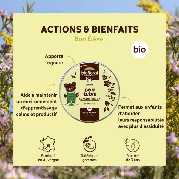 Bon élève gommes - Bio - 45 g