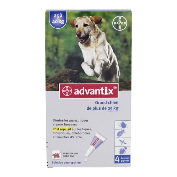Advantix Grand Chien Pipet 4Mlx4