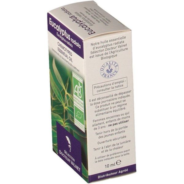Huile essentielle bio Eucalyptus radiata - 10 ml