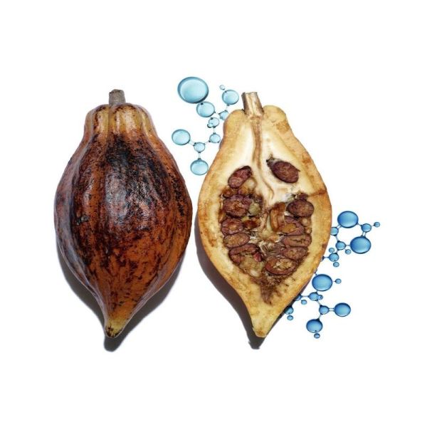 Clarins Hydra-Essent Baum Lev Repara 15Ml