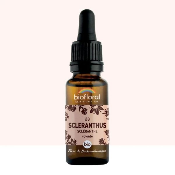 Fleur de Bach n 28 Scleranthus, Scleranthe - Bio Demeter - 20 ml