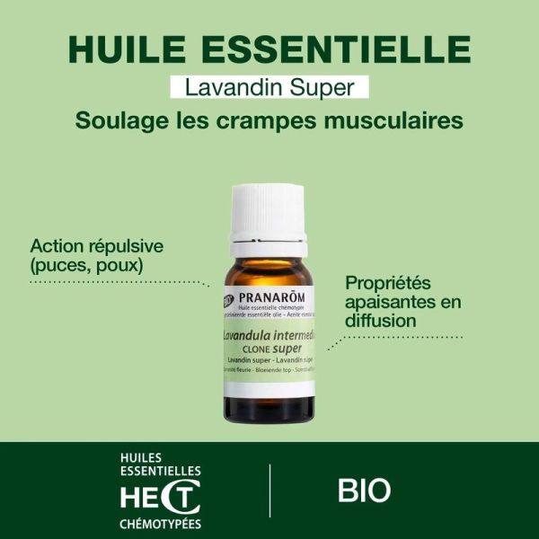 Huile Essentielle de Lavandin super - Bio - 10 ml