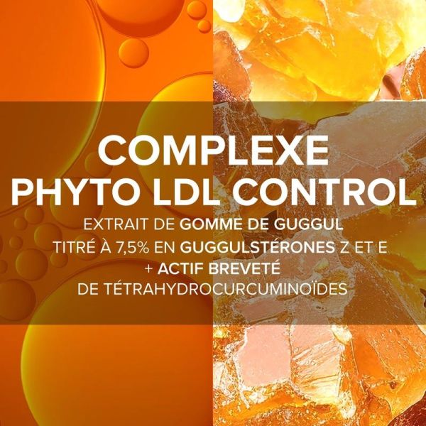 Complexe Phyto LDL Control - 30 gélules