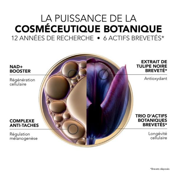 Le Serum Recuperation Nocturne - Premium - 30 ml