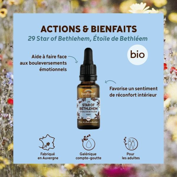 Fleur de Bach n 29 Star of Bethlehem, Etoile de Bethleem - Bio Demeter - 20 ml