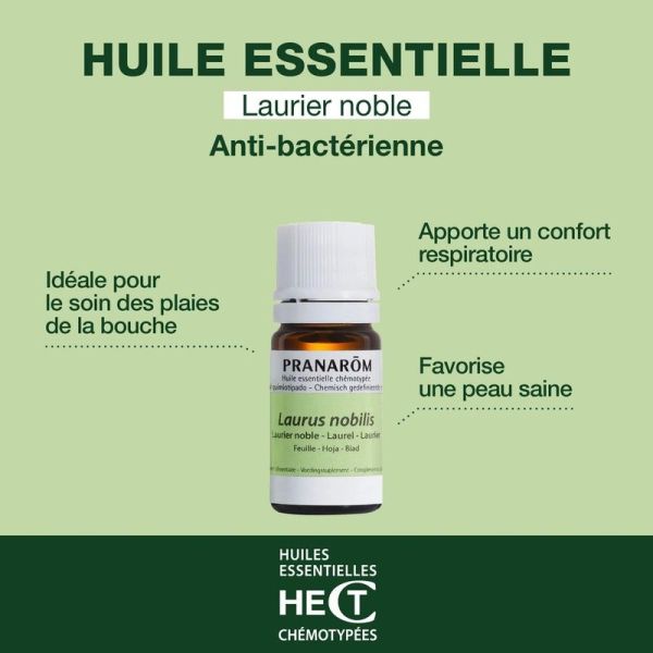 Huile Essentielle de Laurier noble - 5 ml