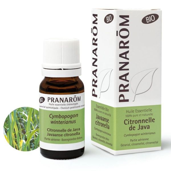 Huile Essentielle de Citronnelle de Java - Bio - 10 ml