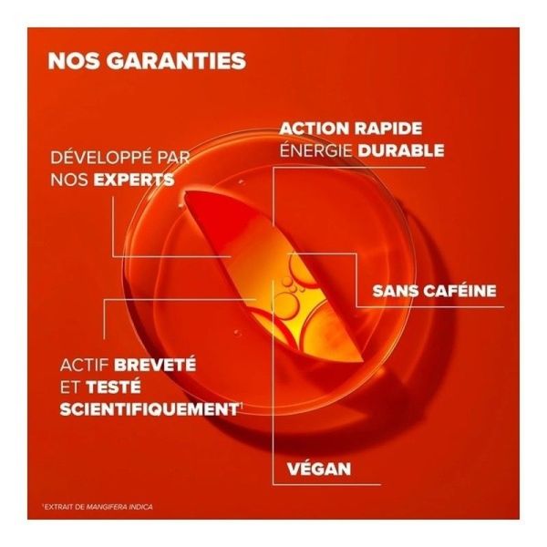 Azinc Expert Fatigue Intense Epuisement - 30 comprimes