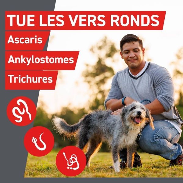 Wormer Vermifuge Chien - 2 comprimes