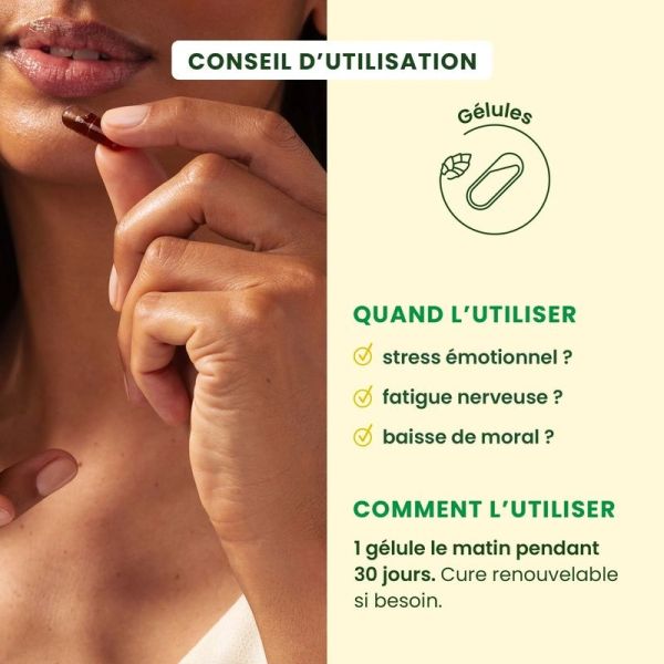 Moral+ Stress-Protect - 30 gélules