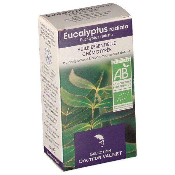 Huile essentielle bio Eucalyptus radiata - 10 ml