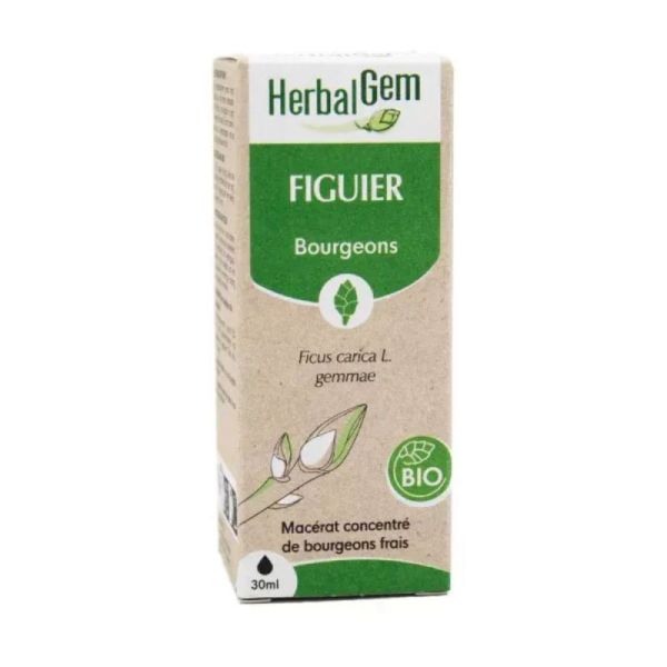 Herbalgem Macerat M Conc Figuier 30Ml