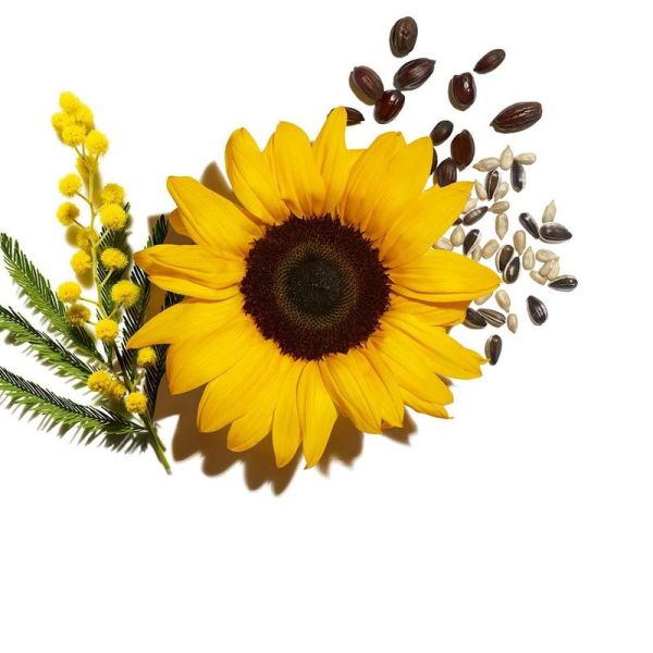 Clarins Maqu Wond Vol Xxl01 Ext Black 8Ml