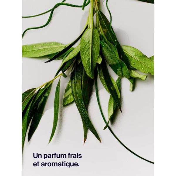 Déodorant Protection 12H Eucalyptus & Sauge - 50 ml