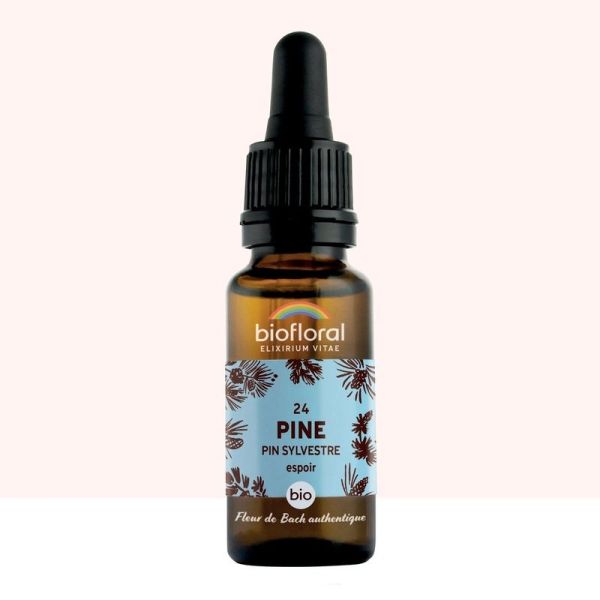 Fleur de Bach n 24 Pine, Pin Sylvestre - Bio Demeter - 20 ml