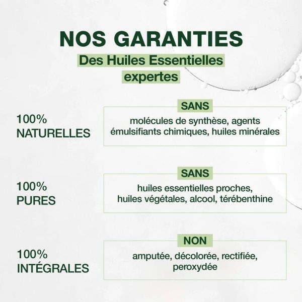 Huile Essentielle d'Eucalyptus radié - Bio - 10 ml
