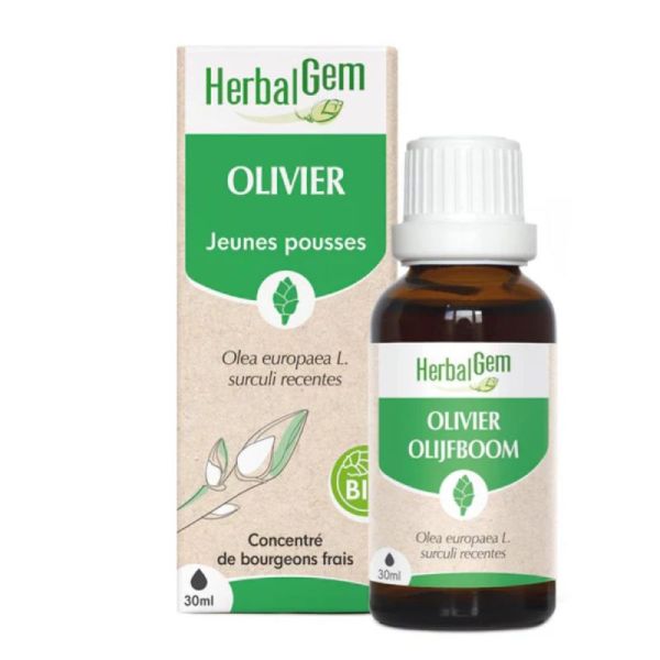 Herbalgem Macerat M Conc Olivier 30Ml