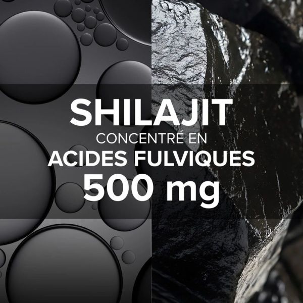 Arkogélules Shilajit - 60 gélules